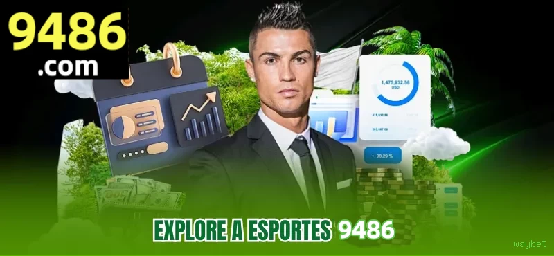Comparação APP mobile vs versão web da waybet